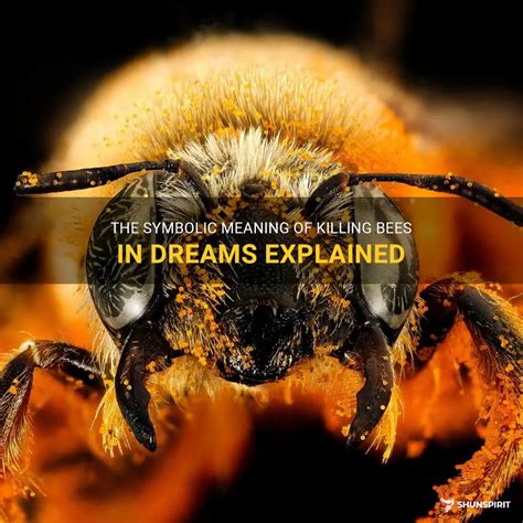 Symbolic Meanings and Analysis of Bee Attacks in Dreams