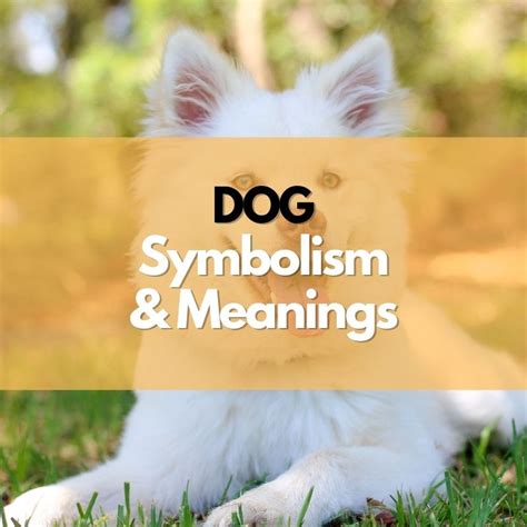 Symbolic Significance: Revealing the obscure interpretations of dogs and kittens in diverse cultures across the globe