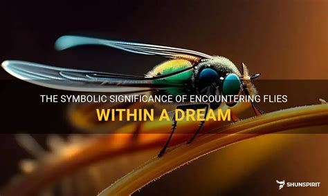 Symbolic Significance of Biting Flies in Dreams