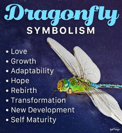 Symbolic Significance of a Scarlet Dragonfly in Art and Literature