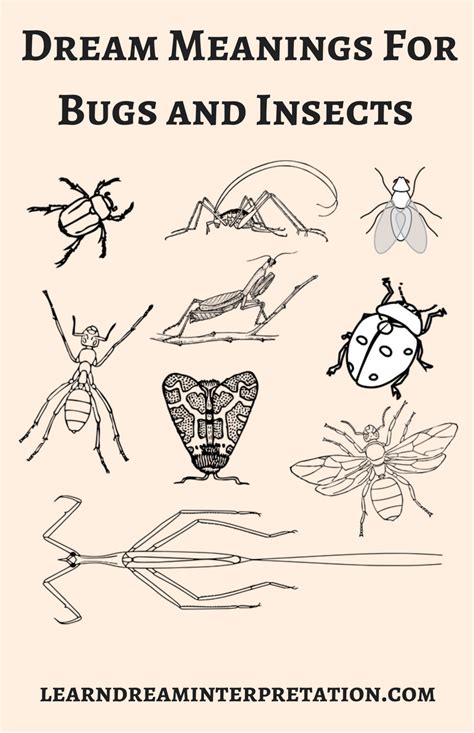 Symbolism and Interpretations of Insect Dreams