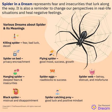 Symbolism of Arachnids in Dreams