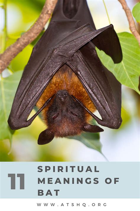 Symbolism of Bats: Deciphering the Spiritual and Superstitious Meanings