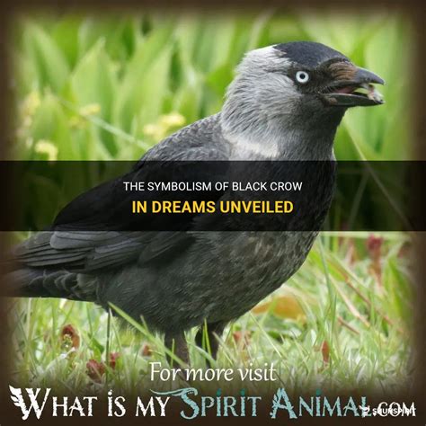 Symbolism of a Black Crow in Dreams