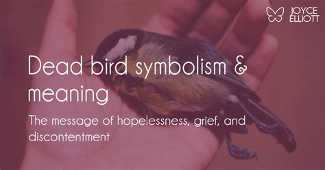 Symbolism of a Deceased Avian Creature in a Vision