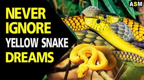 Symbolism of a Yellow Snake in Dreams