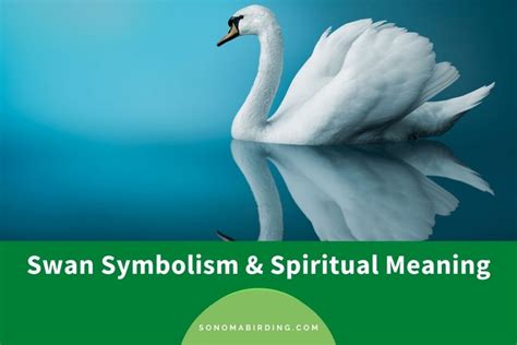 Symbols of the Swan in Different Cultures