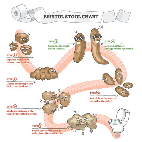 Symptoms to Watch For: Identifying Abnormal Bowel Movements and Their Complications