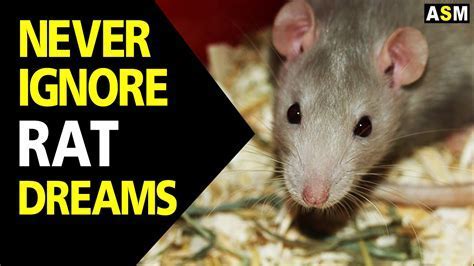 Taking Action: Applying the Insights from Rat Dreams to Real Life