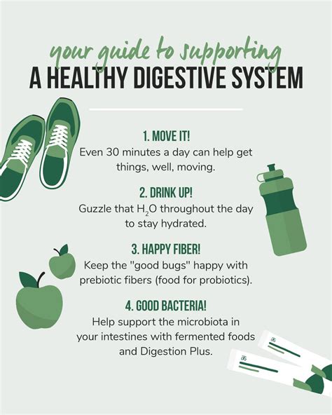 Taking Care of Your Digestive System: Suggestions for a Regular Digestive Process