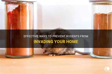 Taking Control: How to Avoid Nightmares about Rodents in Your Meals