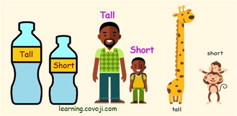 Tall vs Short: A Look at Jules's Height