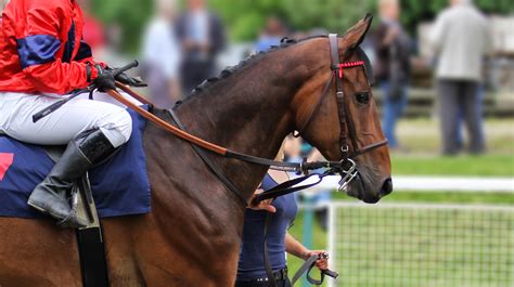 Taming the Tempest: Dealing with Difficult Horses and Challenging Situations