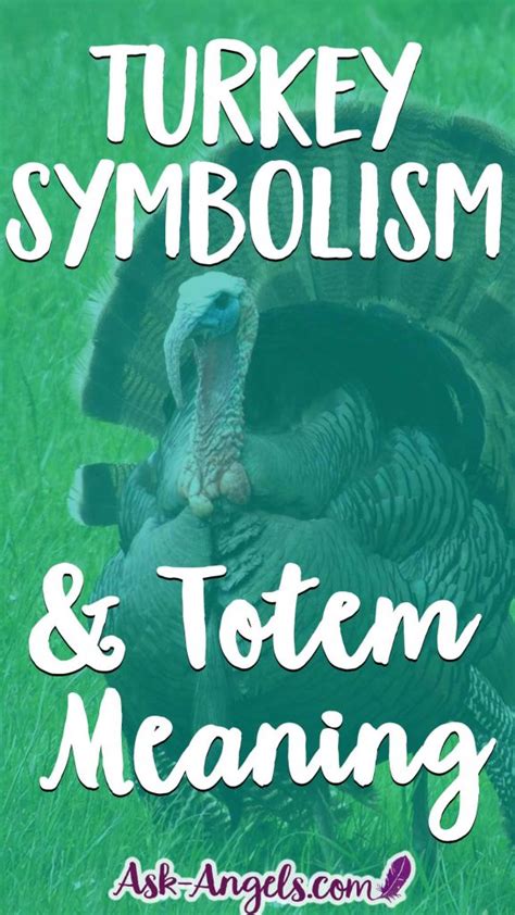 Tapping into the Symbolic Meanings of Turkeys