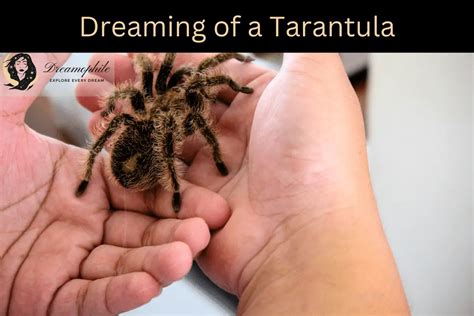 Tarantula Spider Dreams and Personal Transformation: Deciphering Their Meaning