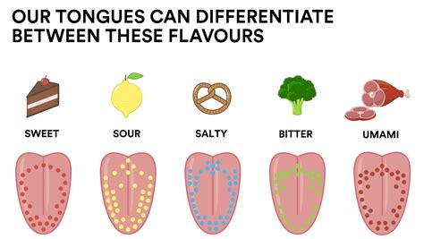 Taste Testing: Decoding the Symbolism of Varied Cuisine Types in Dreams