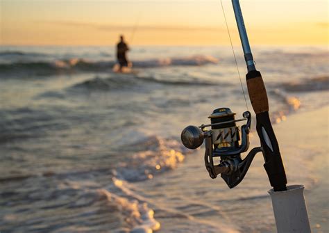 Techniques and Strategies: Mastering the Art of Tiger Fish Angling