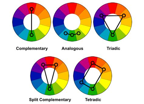 The Adaptability of Ivory Blooms: Harmonizing with Various Color Schemes