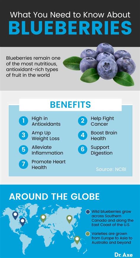 The Advantages of Blueberries: Why Increasing Your Blueberry Intake is Beneficial