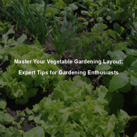 The Advantages of Cultivating Vegetables: Expert Advice for Gardening Enthusiasts