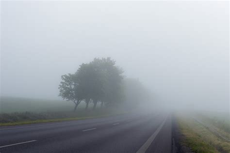 The Advantages of Foggy Climate: How Hazy Terrains Contribute to Ecosystems