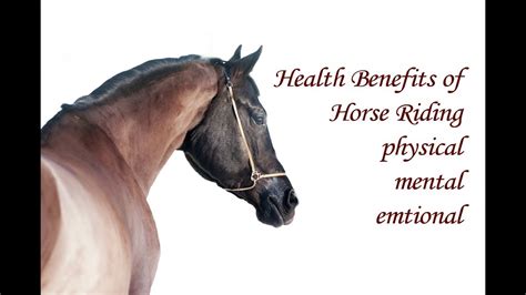 The Advantages of Horseback Riding: Physical Fitness and Emotional Well-being