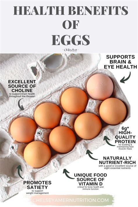 The Advantages of Incorporating Egg White into Your Diet