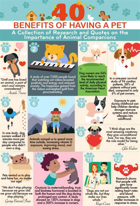 The Advantages of a Lifestyle without PETS