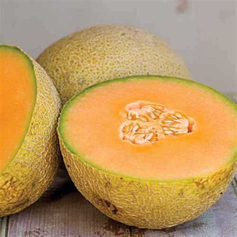 The Age and Height of Candy Cantaloupe