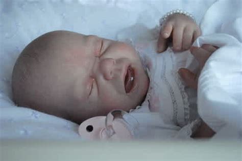 The Allure of Artificial Parenthood: Understanding the Appeal of Reborn Dolls