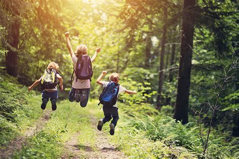 The Allure of Nature: Exploring the Playground of the Great Outdoors