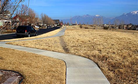 The Allure of Sidewalk Driving: An Unconventional Desire