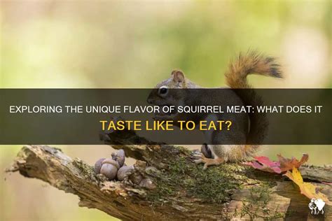 The Allure of Squirrel Meat: An Epicurean Expedition