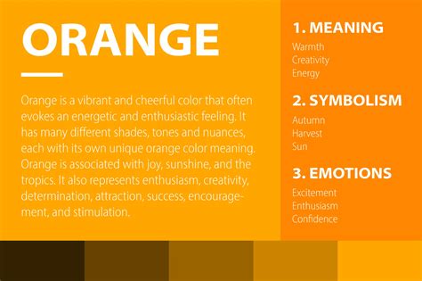 The Allure of the Color Orange: A Symbol of Creativity and Energy