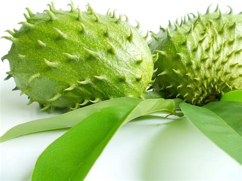 The Amazing Health Benefits of the Fresh Green Soursop