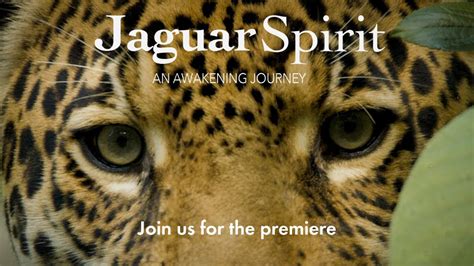 The Amazing Journey of Jalande Jaguar