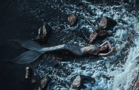 The Anatomy of a Mermaid: Mythical Beings or Real-Life Adaptations?