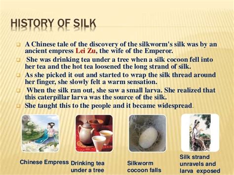 The Ancient Origins of Silk: A Fascinating Tale of Discovery