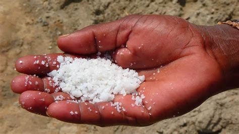 The Ancient Significance of Salt in Human History