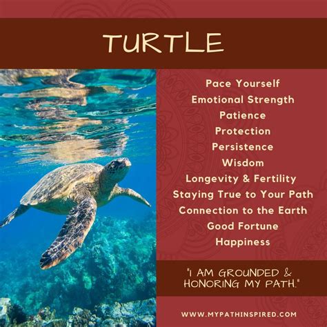 The Ancient Symbolism of Turtles: A Journey Through Time