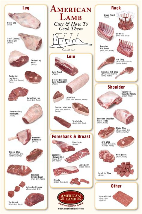 The Art of Butchery: Discovering the Various Cuts of Lamb