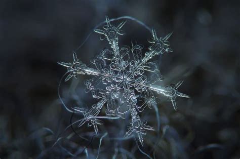 The Art of Capturing Snowflakes: Photography Tips for Breathtaking Images