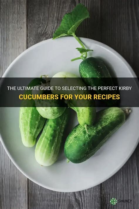 The Art of Cucumber Selection: Tips for Choosing the Perfect Cucumbers