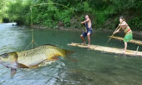 The Art of Epic Fishing: Mastering the Technique for Landing Gigantic Fish