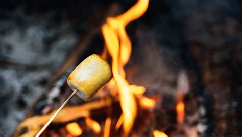 The Art of Marshmallow Roasting: Tips for the Perfect Golden Brown