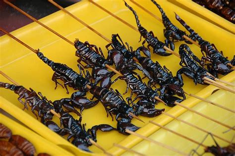 The Art of Preparing Scorpions: Traditional and Modern Culinary Techniques