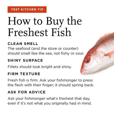 The Art of Selecting the Freshest Catch