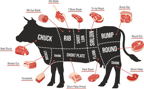 The Art of Selecting the Ideal Cut of Beef