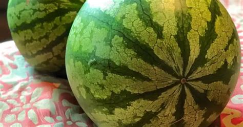 The Art of Selecting the Perfect Watermelon