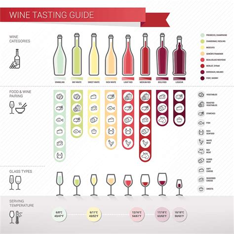 The Art of Wine Tasting: Steps to Enhance Your Sipping Experience